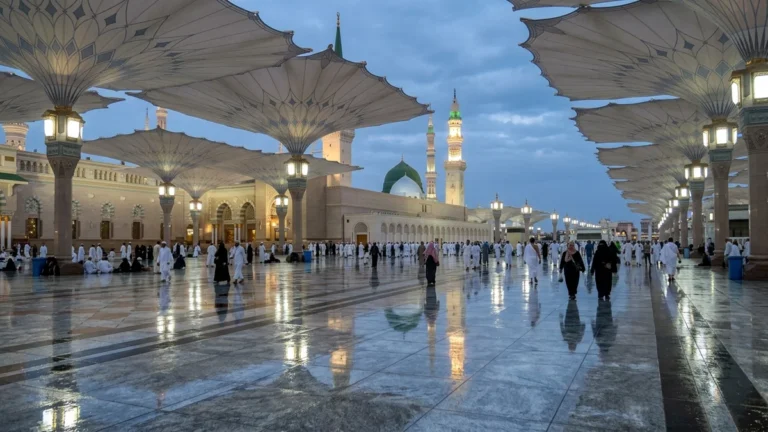 Madinah madinah courtyard reflections for February 3 Star 7 Nights Umrah Packages