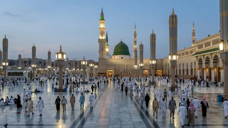 Madinah madinah wide plaza evening for January 5 Star 10 Nights Umrah Packages