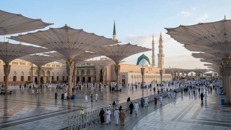 Madinah madinah nabawi umbrellas morning for June 4 Star 7 Nights Umrah Packages