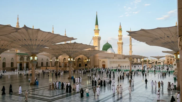 Madinah madinah nabawi umbrellas morning for May 3 Star 7 Nights Umrah Packages